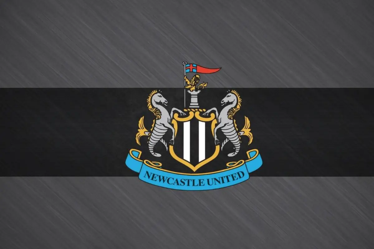 爱游戏-关于纽卡斯尔窗口期止住颓势，志在亚冠名次提升，球迷炸锅，团队化学反应显著的信息-爱游戏